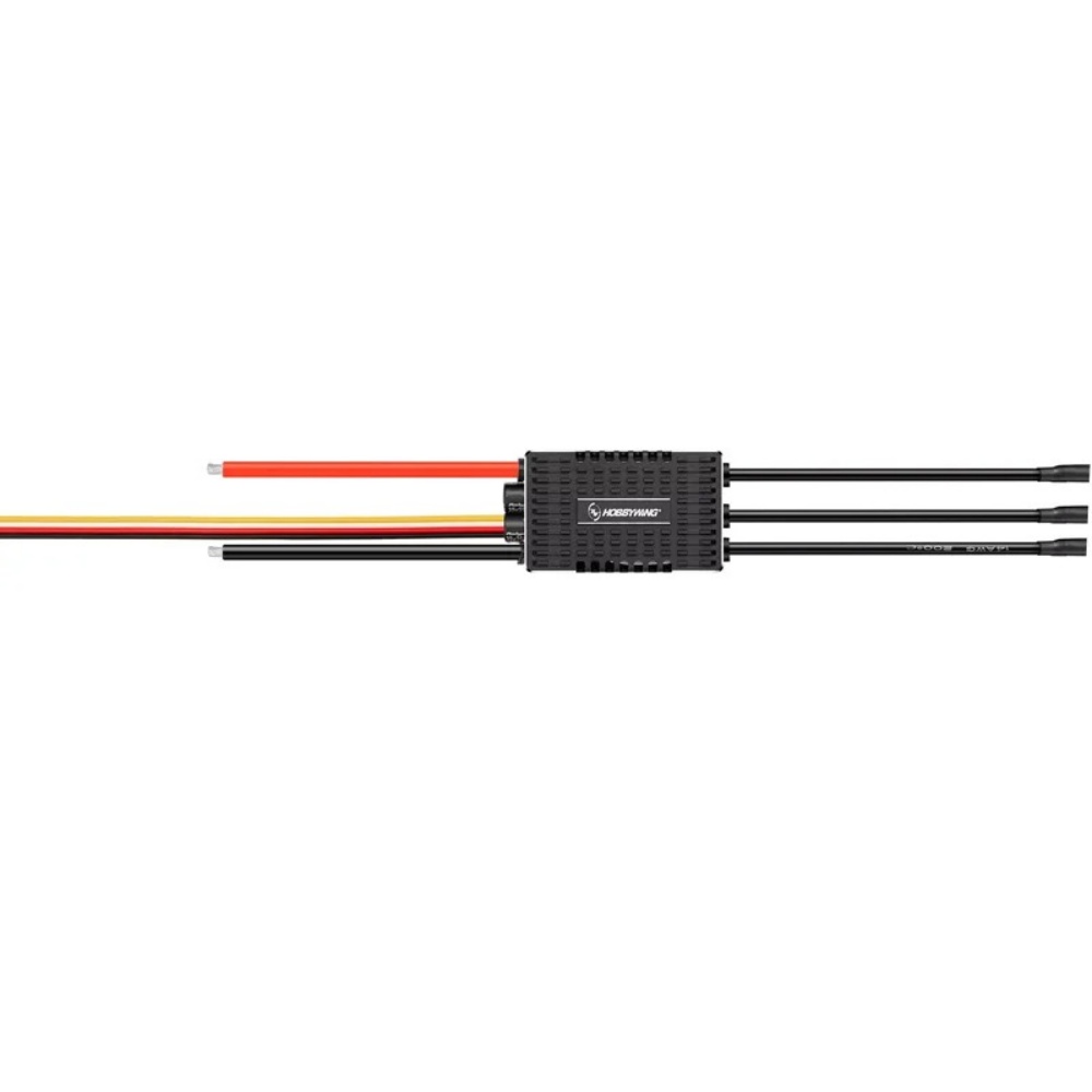 FATJAY Hobbywing Platinum 80A  - Rc Hobby Model recensione e prezzo